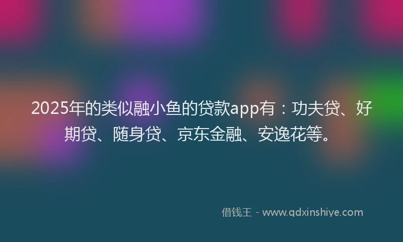 2025年的类似融小鱼的贷款app有：功夫贷、好期贷、随身贷、京东金融、安逸花等。
