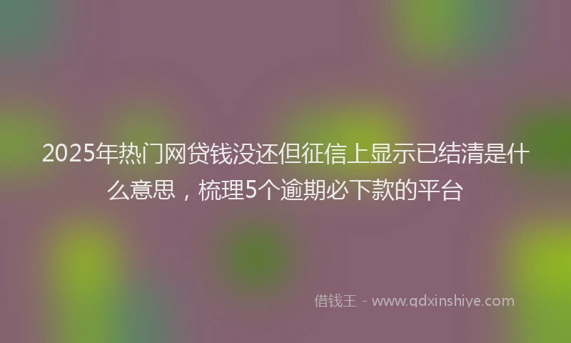 2025年热门网贷钱没还但征信上显示已结清是什么意思，梳理5个逾期必下款的平台