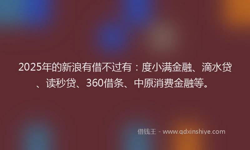 2025年的新浪有借不过有：度小满金融、滴水贷、读秒贷、360借条、中原消费金融等。