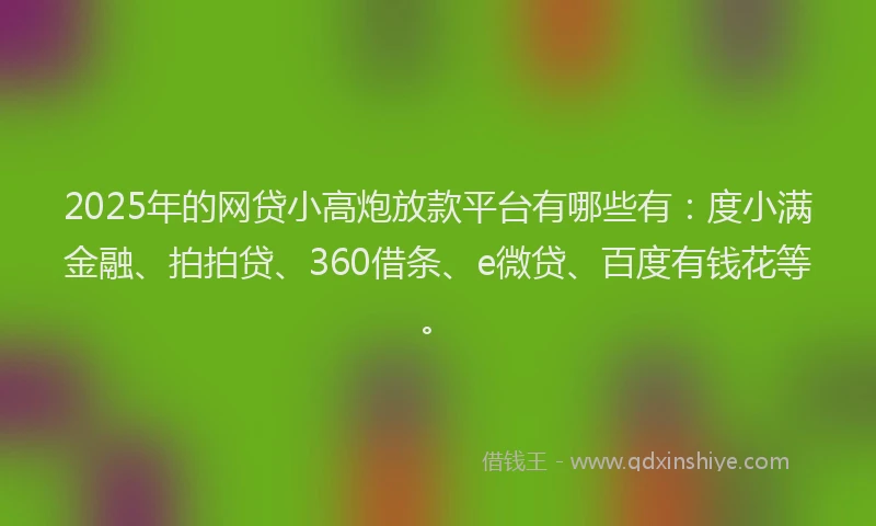 2025年的网贷小高炮放款平台有哪些有：度小满金融、拍拍贷、360借条、e微贷、百度有钱花等。