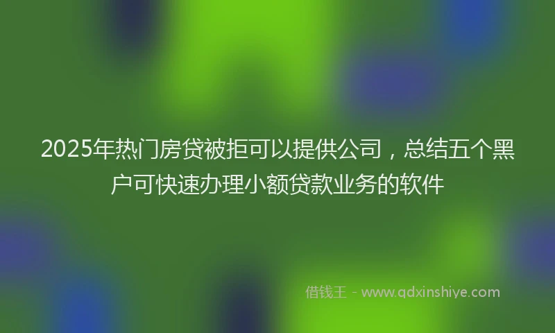 2025年热门房贷被拒可以提供公司，总结五个黑户可快速办理小额贷款业务的软件