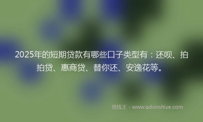 2025年的短期贷款有哪些口子类型有：还呗、拍拍贷、惠商贷、替你还、安逸花等。