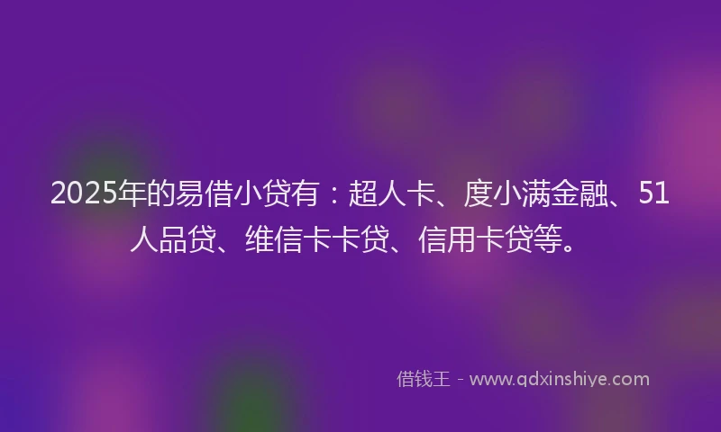 2025年的易借小贷有：超人卡、度小满金融、51人品贷、维信卡卡贷、信用卡贷等。