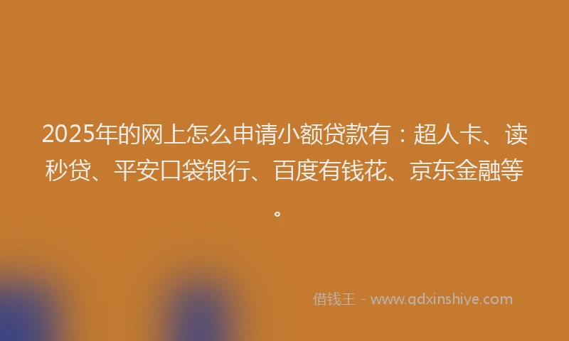 2025年的网上怎么申请小额贷款有：超人卡、读秒贷、平安口袋银行、百度有钱花、京东金融等。