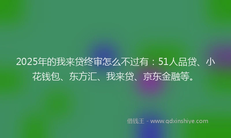 2025年的我来贷终审怎么不过有：51人品贷、小花钱包、东方汇、我来贷、京东金融等。