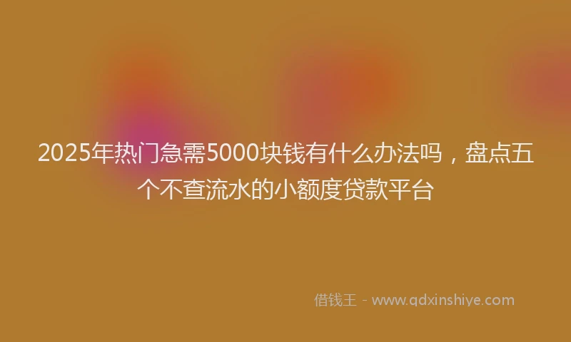 2025年热门急需5000块钱有什么办法吗，盘点五个不查流水的小额度贷款平台
