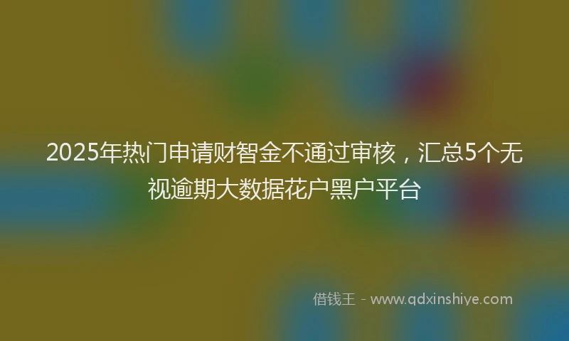 2025年热门申请财智金不通过审核，汇总5个无视逾期大数据花户黑户平台
