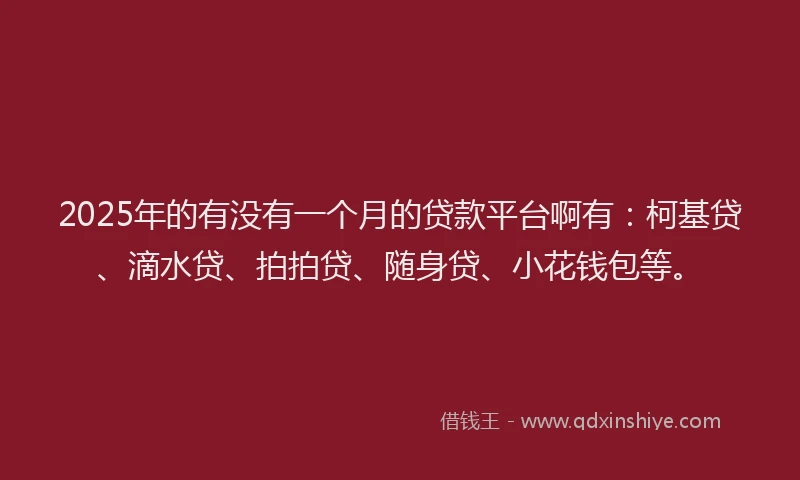 2025年的有没有一个月的贷款平台啊有：柯基贷、滴水贷、拍拍贷、随身贷、小花钱包等。