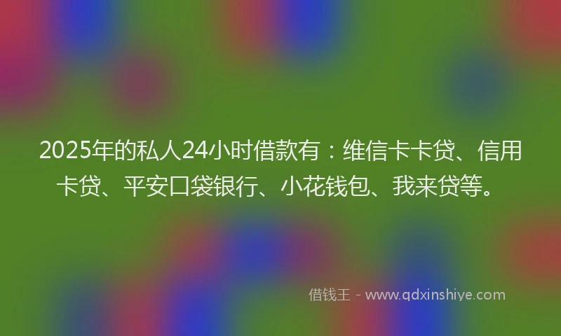 2025年的私人24小时借款有：维信卡卡贷、信用卡贷、平安口袋银行、小花钱包、我来贷等。