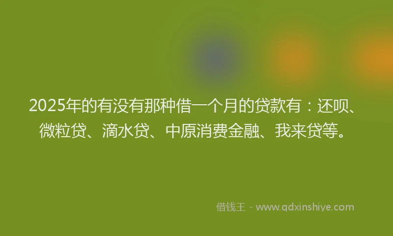 2025年的有没有那种借一个月的贷款有：还呗、微粒贷、滴水贷、中原消费金融、我来贷等。