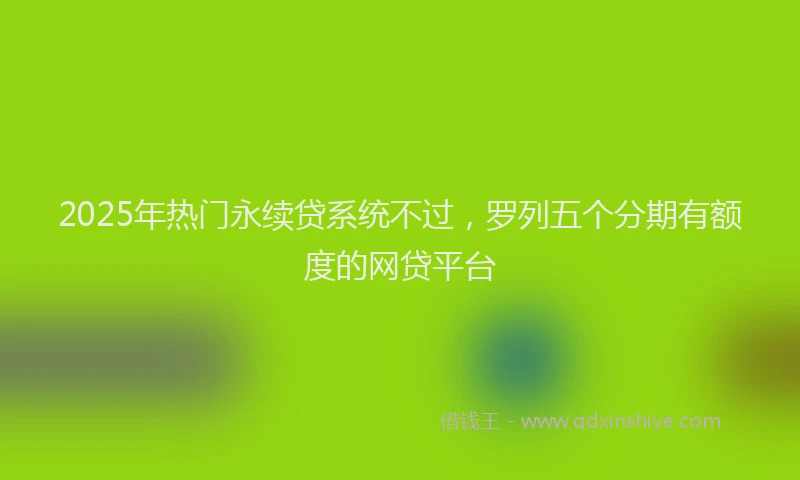 2025年热门永续贷系统不过，罗列五个分期有额度的网贷平台