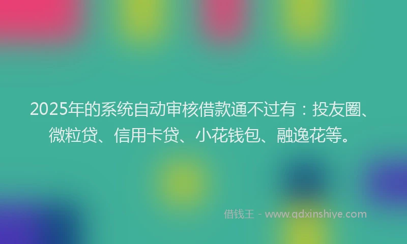 2025年的系统自动审核借款通不过有：投友圈、微粒贷、信用卡贷、小花钱包、融逸花等。