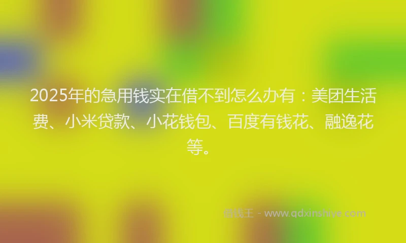 2025年的急用钱实在借不到怎么办有：美团生活费、小米贷款、小花钱包、百度有钱花、融逸花等。