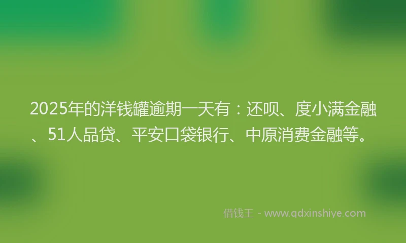 2025年的洋钱罐逾期一天有：还呗、度小满金融、51人品贷、平安口袋银行、中原消费金融等。