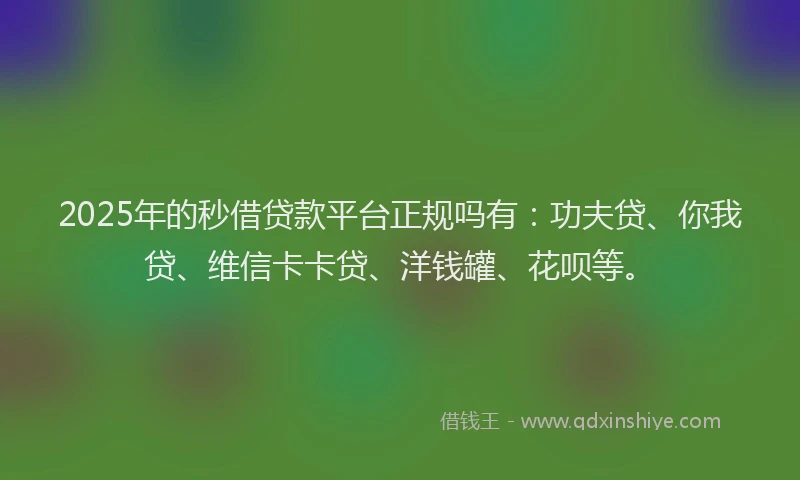 2025年的秒借贷款平台正规吗有：功夫贷、你我贷、维信卡卡贷、洋钱罐、花呗等。