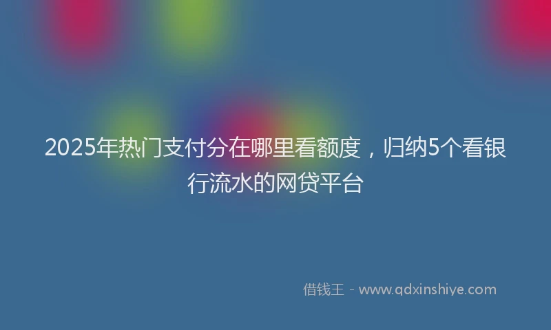 2025年热门支付分在哪里看额度，归纳5个看银行流水的网贷平台