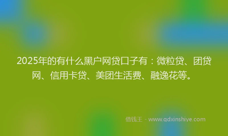 2025年的有什么黑户网贷口子有：微粒贷、团贷网、信用卡贷、美团生活费、融逸花等。