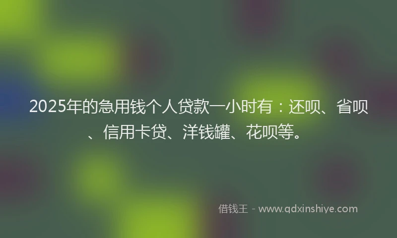 2025年的急用钱个人贷款一小时有：还呗、省呗、信用卡贷、洋钱罐、花呗等。