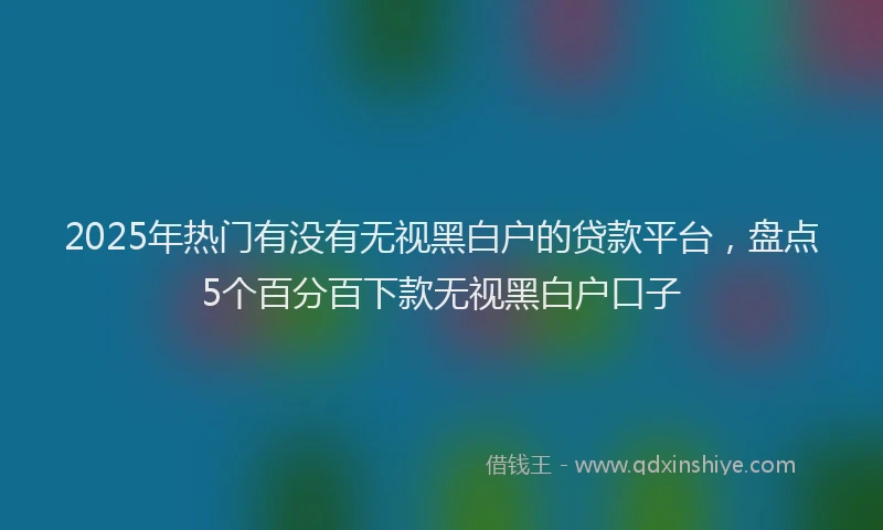 2025年热门有没有无视黑白户的贷款平台，盘点5个百分百下款无视黑白户口子