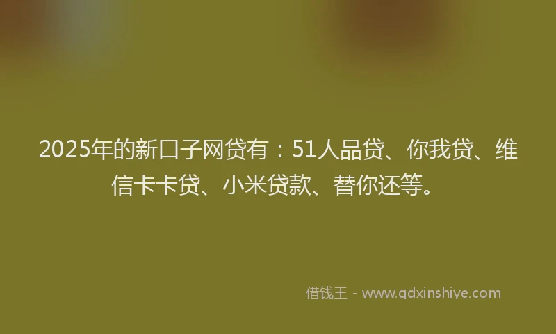 2025年的新口子网贷有：51人品贷、你我贷、维信卡卡贷、小米贷款、替你还等。
