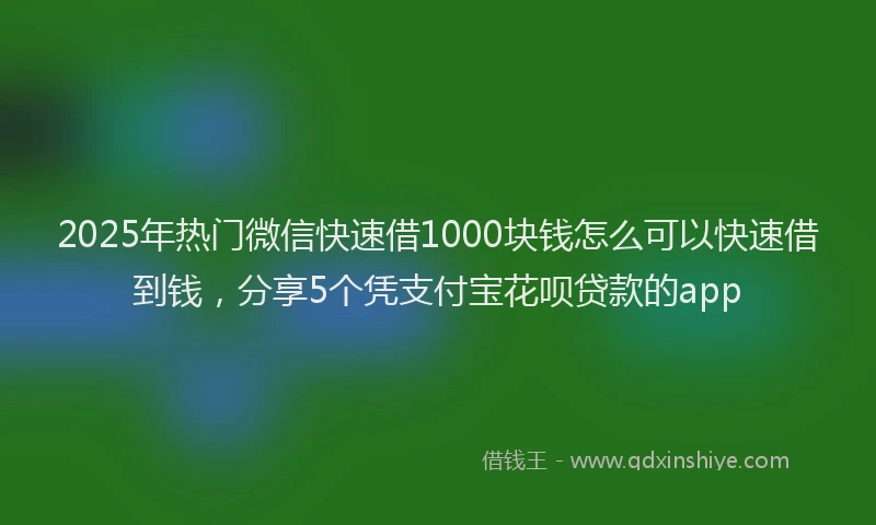 2025年热门微信快速借1000块钱怎么可以快速借到钱，分享5个凭支付宝花呗贷款的app