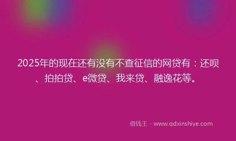 2025年的现在还有没有不查征信的网贷有：还呗、拍拍贷、e微贷、我来贷、融逸花等。