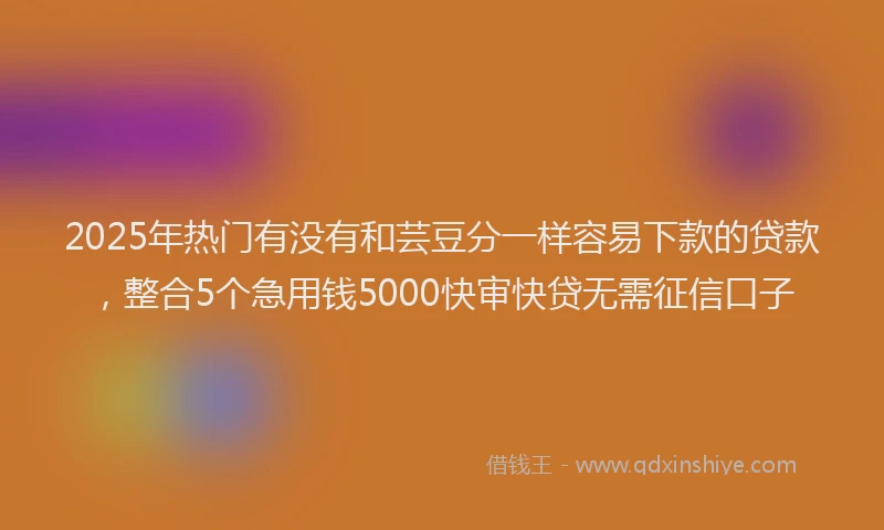 2025年热门有没有和芸豆分一样容易下款的贷款，整合5个急用钱5000快审快贷无需征信口子