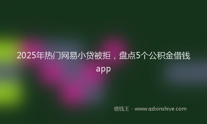 2025年热门网易小贷被拒，盘点5个公积金借钱app