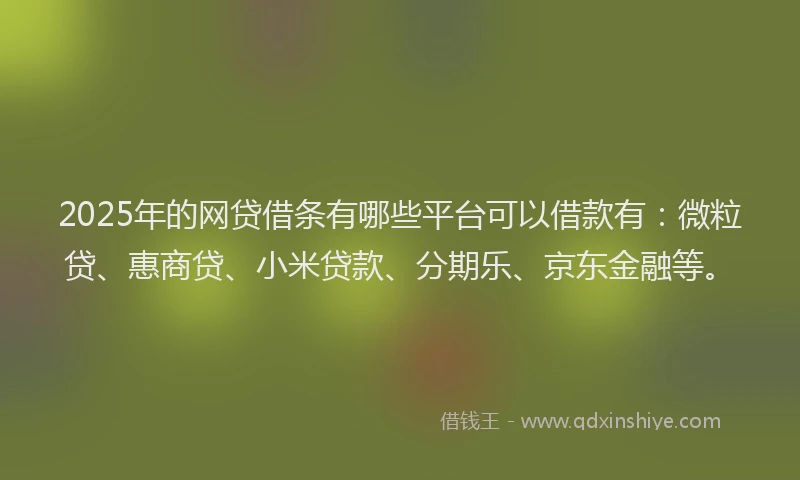 2025年的网贷借条有哪些平台可以借款有：微粒贷、惠商贷、小米贷款、分期乐、京东金融等。