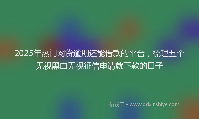 2025年热门网贷逾期还能借款的平台，梳理五个无视黑白无视征信申请就下款的口子