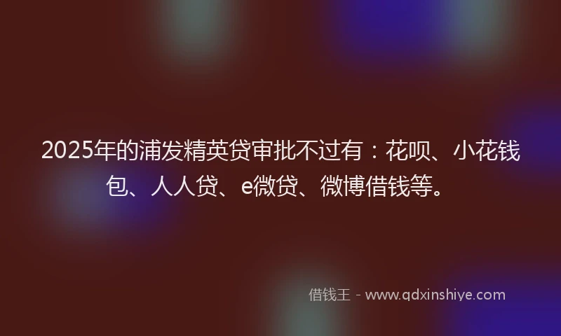 2025年的浦发精英贷审批不过有：花呗、小花钱包、人人贷、e微贷、微博借钱等。