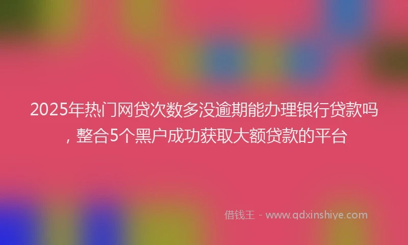 2025年热门网贷次数多没逾期能办理银行贷款吗，整合5个黑户成功获取大额贷款的平台