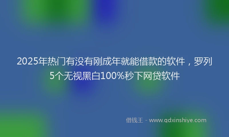 2025年热门有没有刚成年就能借款的软件，罗列5个无视黑白100%秒下网贷软件