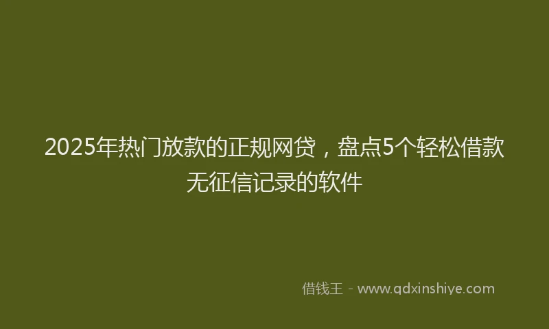 2025年热门放款的正规网贷，盘点5个轻松借款无征信记录的软件