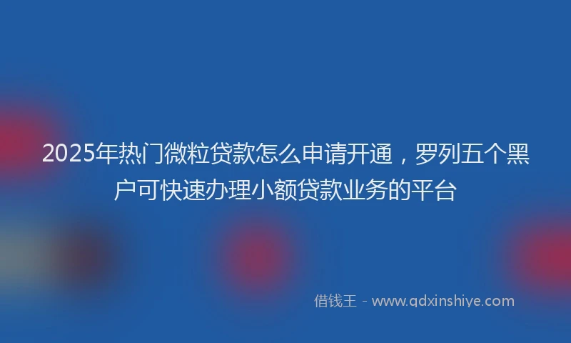 2025年热门微粒贷款怎么申请开通，罗列五个黑户可快速办理小额贷款业务的平台
