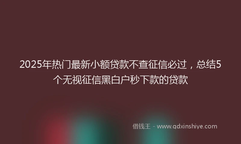 2025年热门最新小额贷款不查征信必过，总结5个无视征信黑白户秒下款的贷款