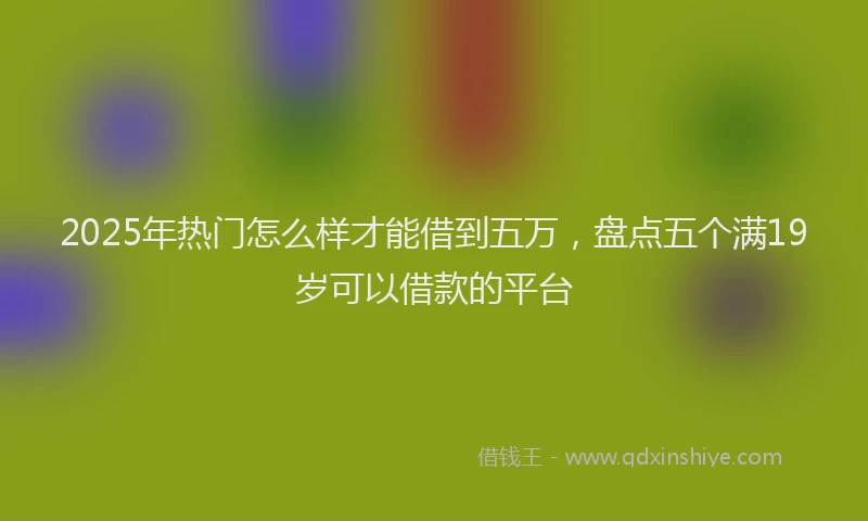 2025年热门怎么样才能借到五万，盘点五个满19岁可以借款的平台