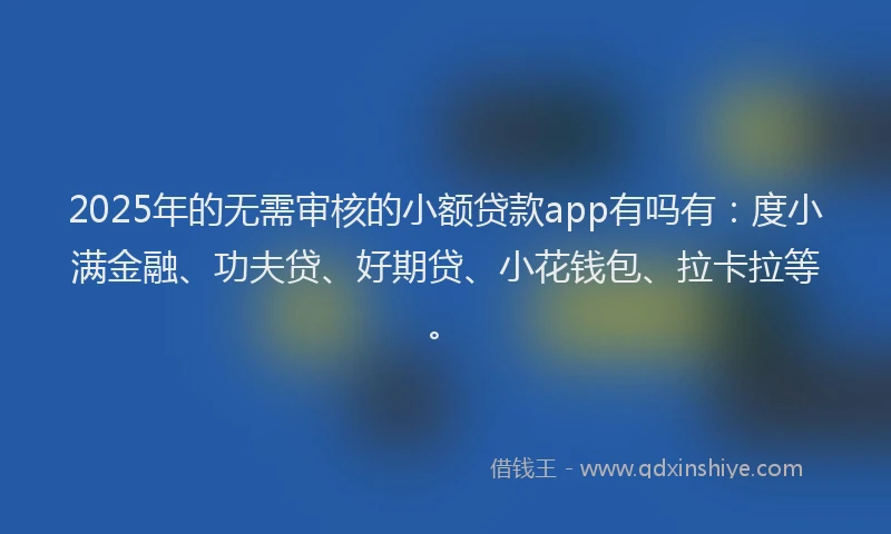 2025年的无需审核的小额贷款app有吗有：度小满金融、功夫贷、好期贷、小花钱包、拉卡拉等。