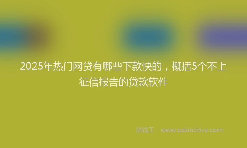2025年热门网贷有哪些下款快的，概括5个不上征信报告的贷款软件
