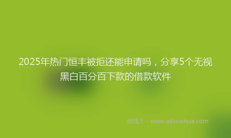 2025年热门恒丰被拒还能申请吗，分享5个无视黑白百分百下款的借款软件