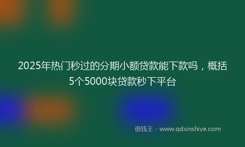 2025年热门秒过的分期小额贷款能下款吗，概括5个5000块贷款秒下平台