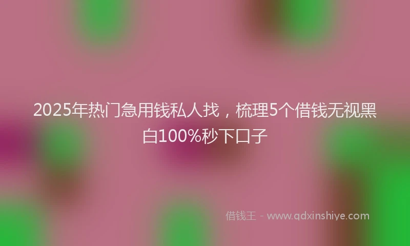 2025年热门急用钱私人找，梳理5个借钱无视黑白100%秒下口子