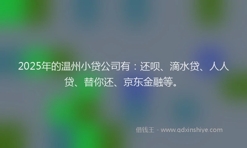 2025年的温州小贷公司有：还呗、滴水贷、人人贷、替你还、京东金融等。
