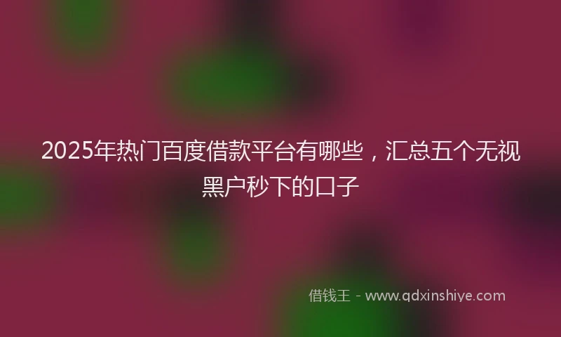 2025年热门百度借款平台有哪些，汇总五个无视黑户秒下的口子