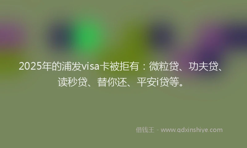 2025年的浦发visa卡被拒有：微粒贷、功夫贷、读秒贷、替你还、平安i贷等。