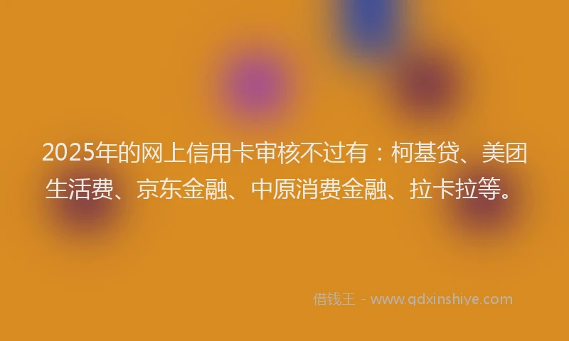2025年的网上信用卡审核不过有：柯基贷、美团生活费、京东金融、中原消费金融、拉卡拉等。