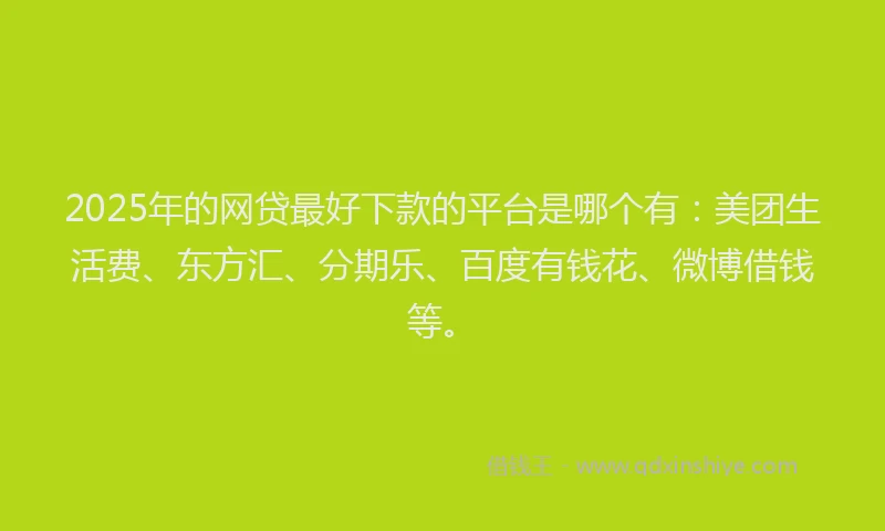 2025年的网贷最好下款的平台是哪个有：美团生活费、东方汇、分期乐、百度有钱花、微博借钱等。