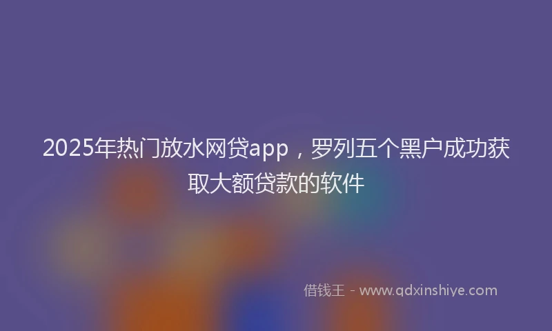 2025年热门放水网贷app，罗列五个黑户成功获取大额贷款的软件
