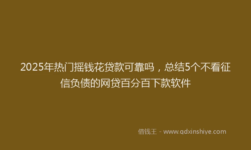 2025年热门摇钱花贷款可靠吗，总结5个不看征信负债的网贷百分百下款软件