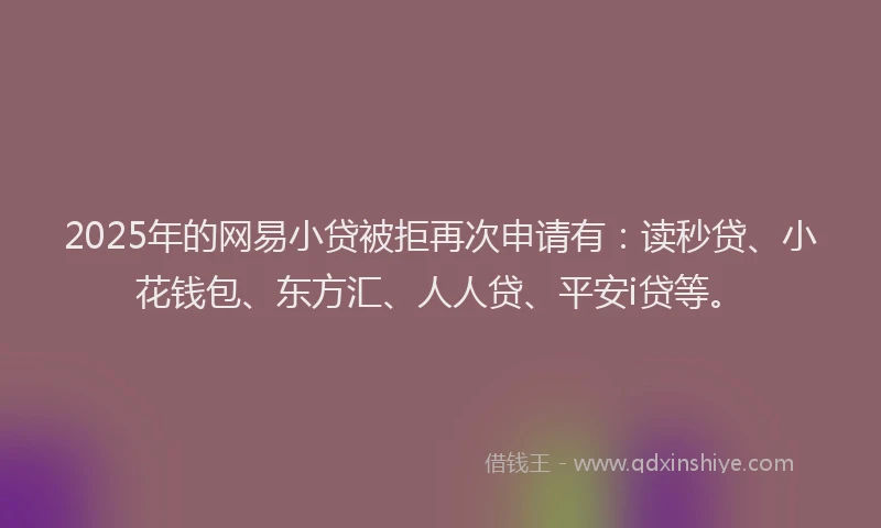 2025年的网易小贷被拒再次申请有：读秒贷、小花钱包、东方汇、人人贷、平安i贷等。